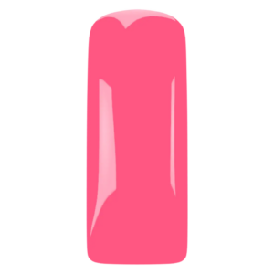 Gelpolish Flamingo Flourish TPO Free Magnetic Nail Design rosa