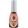 Seal and Protect 15ml Magnetic Nail Design primer sigillante unghie