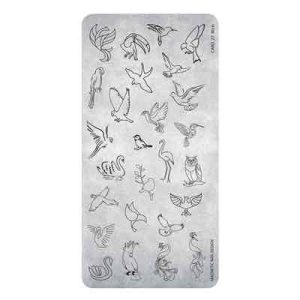 Stamping Plate 24 Birds Magnetic Nail Design con motivi di uccelli